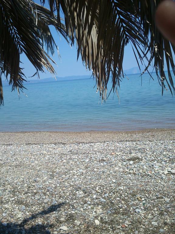 Evoikos Beach & Resort Livanátai Eksteriør bilde